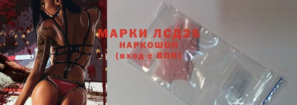 ПСИЛОЦИБИНОВЫЕ ГРИБЫ Бородино