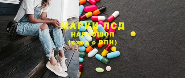 ПСИЛОЦИБИНОВЫЕ ГРИБЫ Бородино
