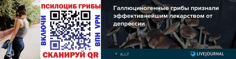 купить закладку  Волгореченск  Псилоцибиновые грибы MAGIC MUSHROOMS 